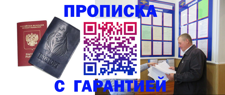 прописка поиск в Тынде